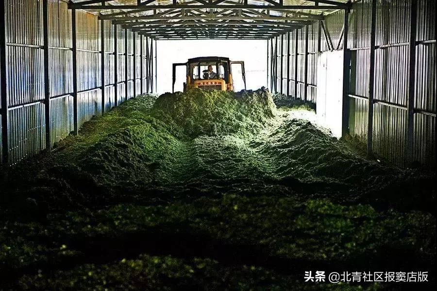 搜一搜就知道了,搜一搜商家会怎么样