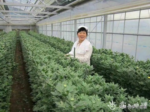 麒麟外出务工,在麒麟区打工能挣钱吗
