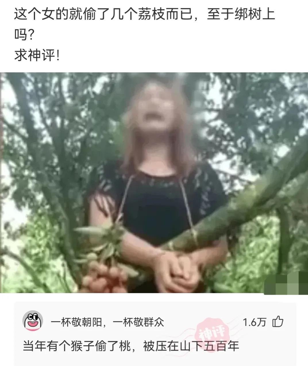 神回复城市因岁月而伟大,有钱乡下是净土没钱全是土图片