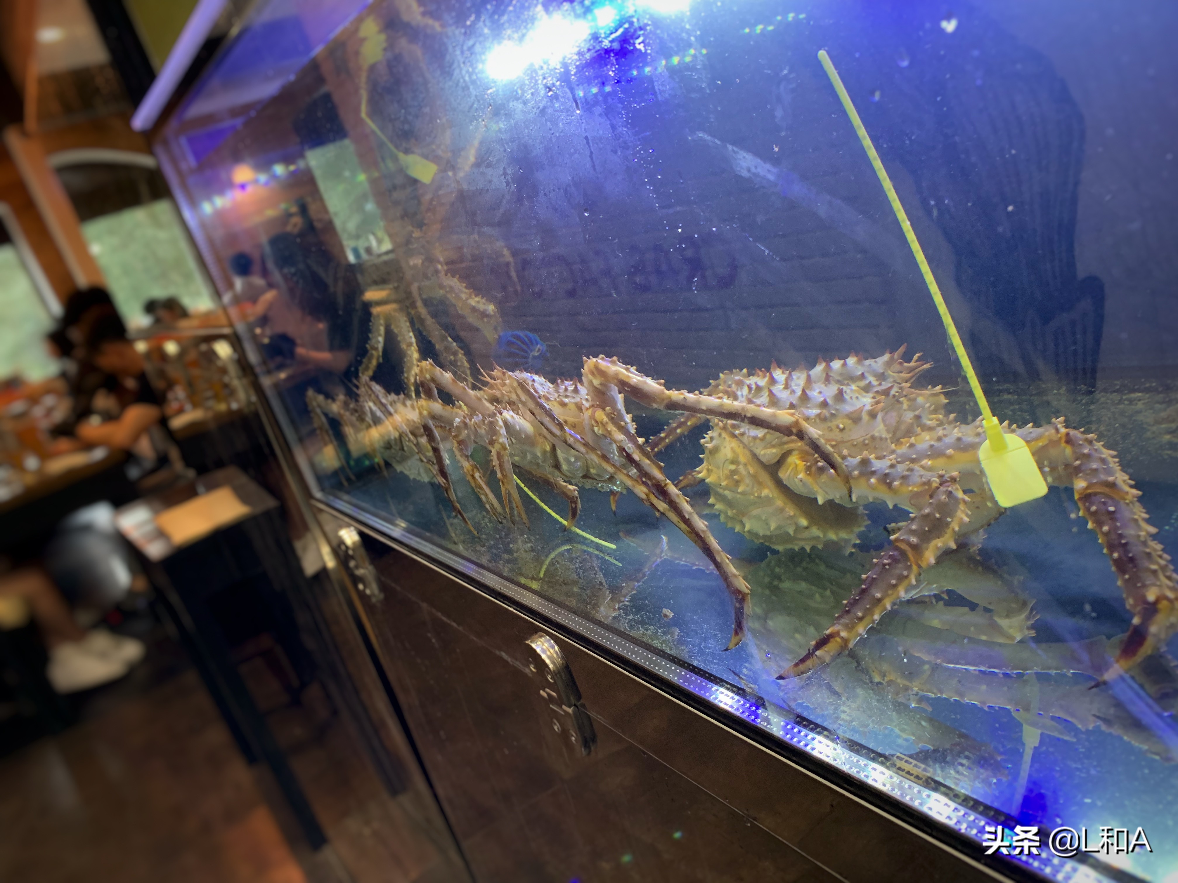 海参崴超市帝王蟹,海参崴帝王蟹地址