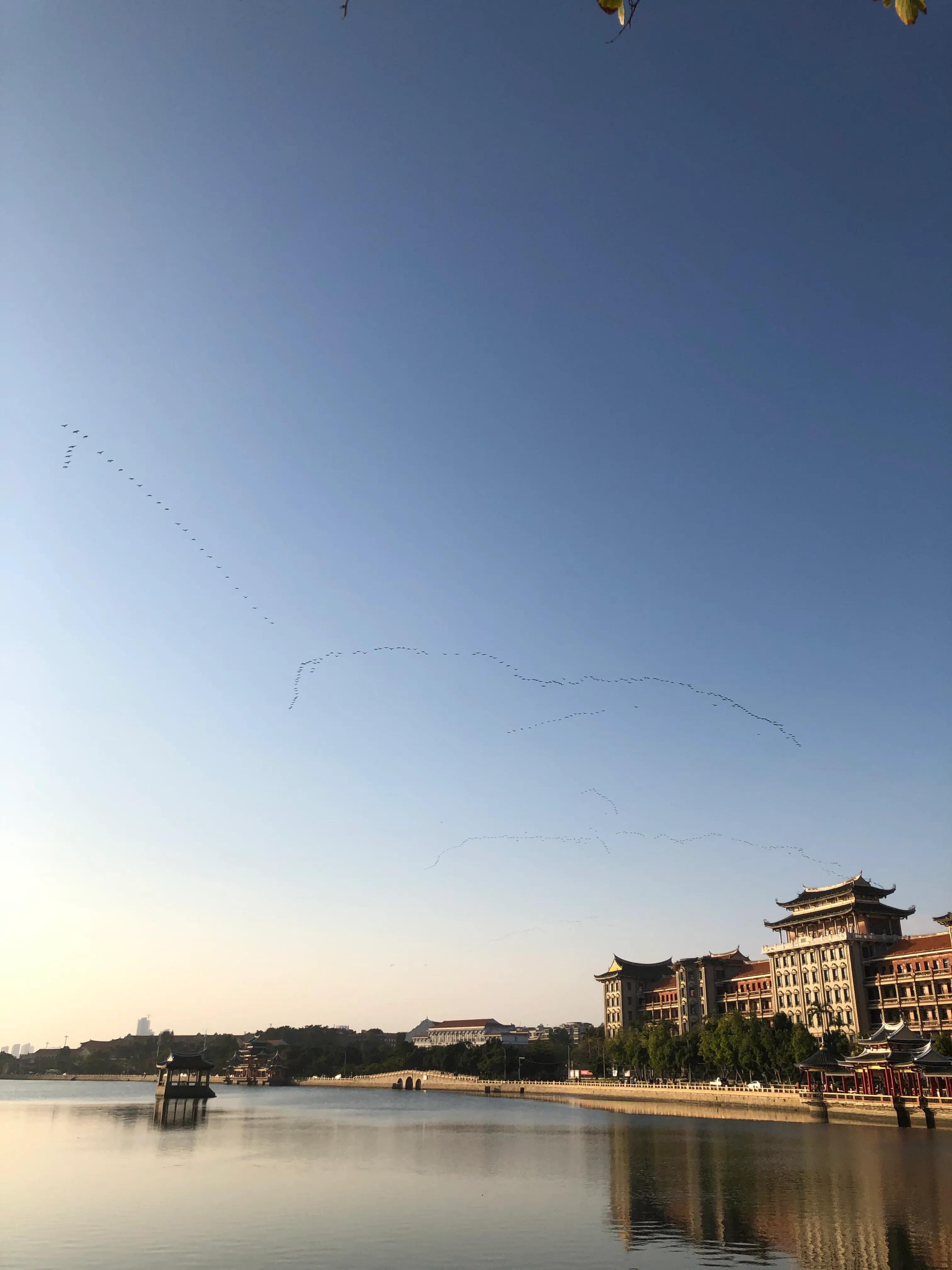 厦门集美学村龙舟池好玩吗,厦门集美学村龙舟池捞鱼