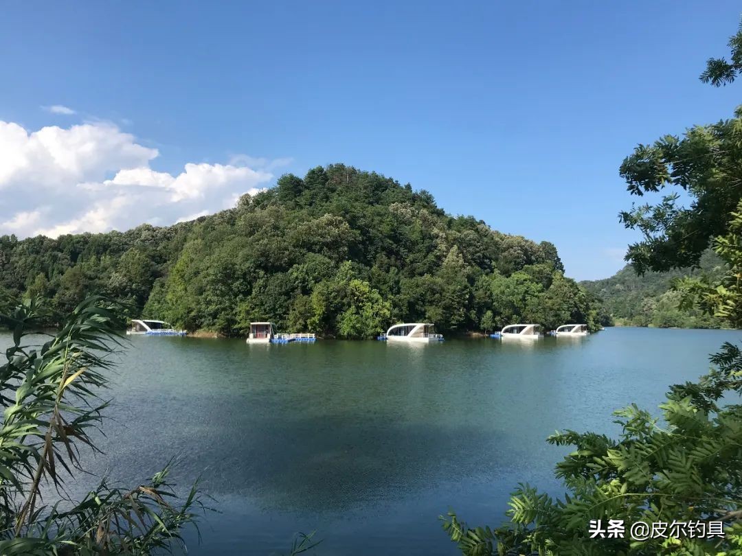 贝克力路亚大师赛总决赛视频,贝克力路亚大师赛2019排名