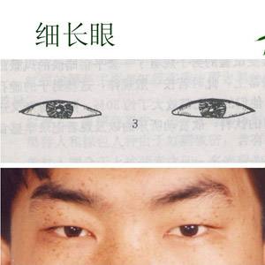 眼睛像小鸟一样的什么眼型,如何判断自己的眼睛是哪种眼型
