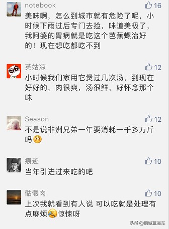 下雨过后路边为什么会出现蜗牛,深圳雨后出现非洲大蜗牛怎么处理