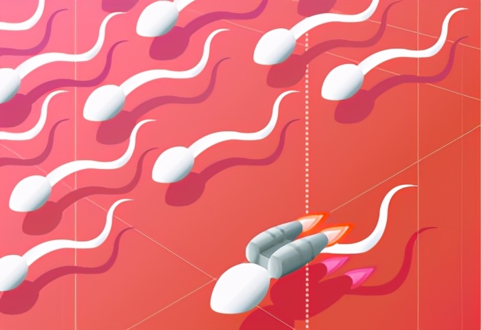 5亿人口的迁徙，从男性到女性体内，小蝌蚪到底都经历了什么？