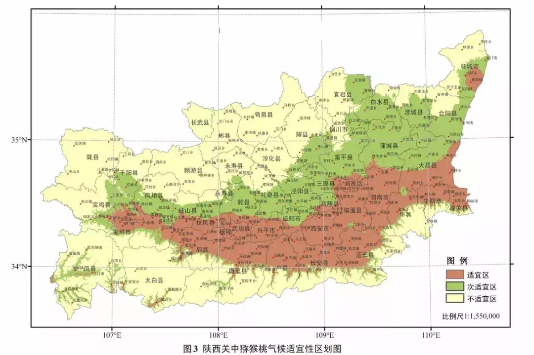 陕西周至猕猴桃哪家好,周至县猕猴桃和眉县猕猴桃