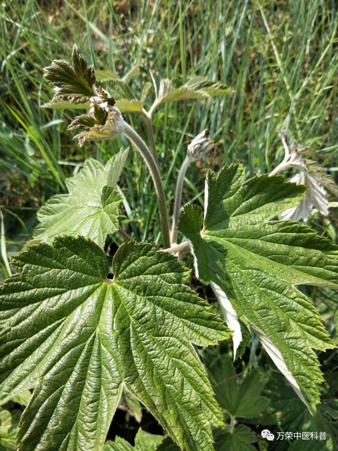 跟我回家在线免费看,跟我回家免费看