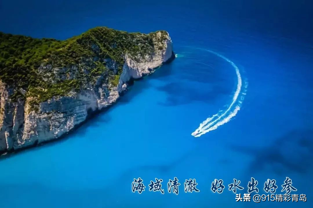 中国最好的海刺海参,黄金刺参西沙群岛深海纯野生海参