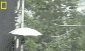 科普张姿势动图：感觉自己姿势又涨了100点