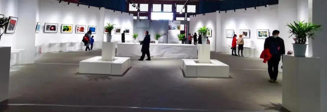 昆明动物博物馆免费开放时间,昆明博物馆和云南博物馆哪个好