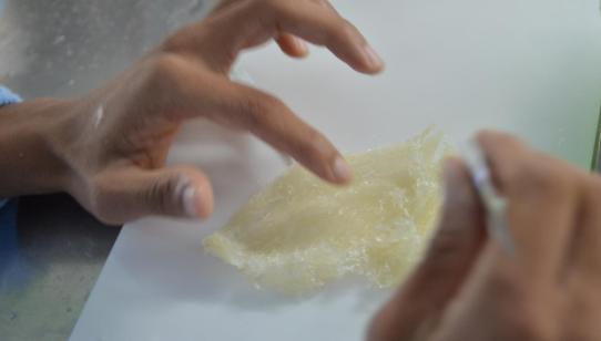 燕窝真假用什么方法鉴别,燕窝真假鉴别方法