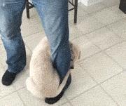 最新防割韭菜套路骗局揭秘,揭秘骗子那些割韭菜套路