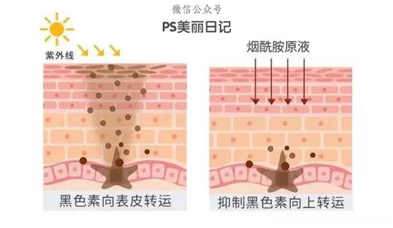 肤色一黑一白怎么办,肤色黑可以美白吗