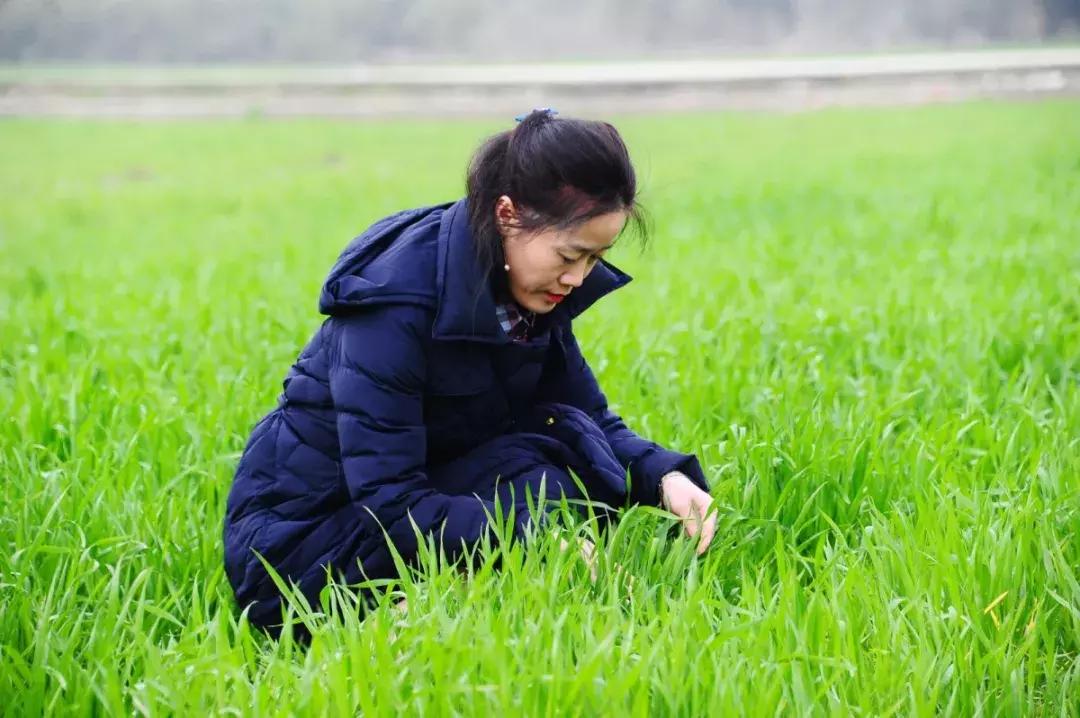因为她们很漂亮的英语,因为他们让我的生活变得更美好