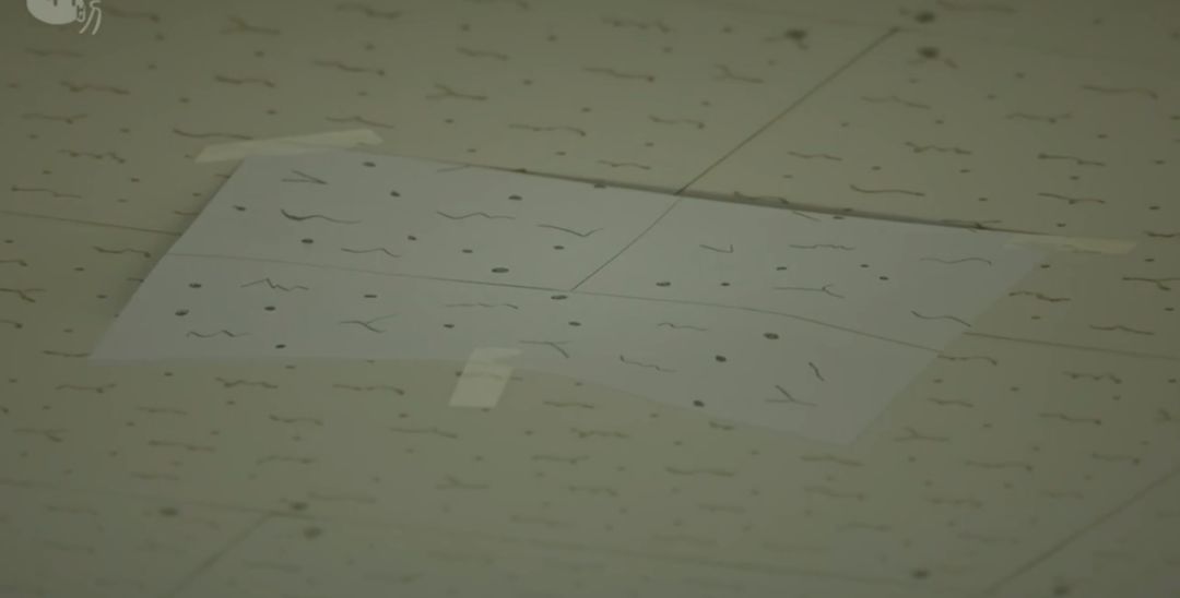 三个男生一个高冷一个腼腆,一个高冷的男生逗比