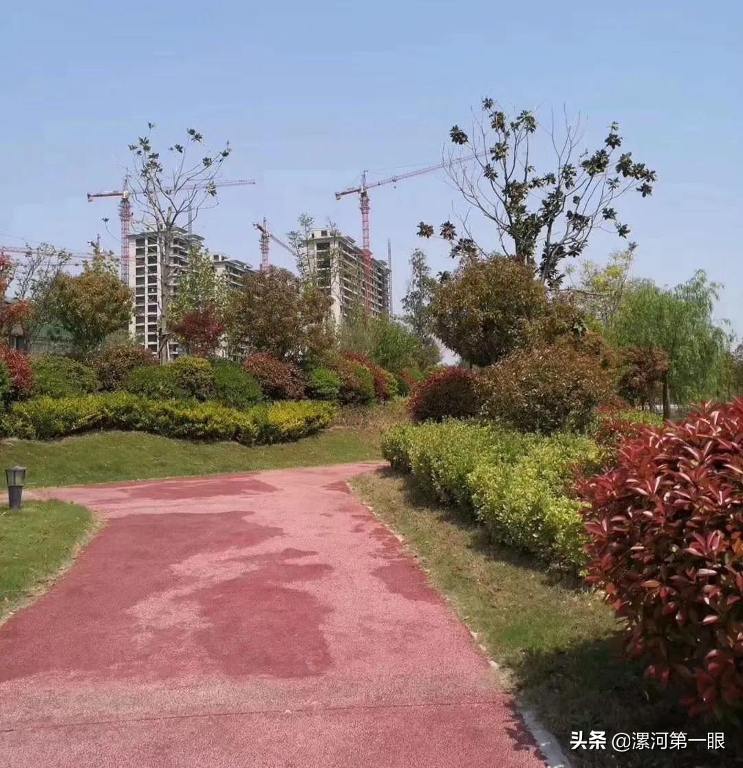 漯河沙河湿地公园在哪个位置,漯河龙湖湿地公园什么时间建好