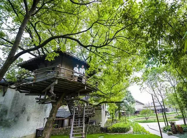 涔屾潙娓稿鏁伴噺,涔屾潙骞存帴寰呮父瀹㈤噺