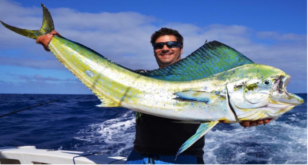 凡学大师｜鲯鳅：美是我最不值一提的优点