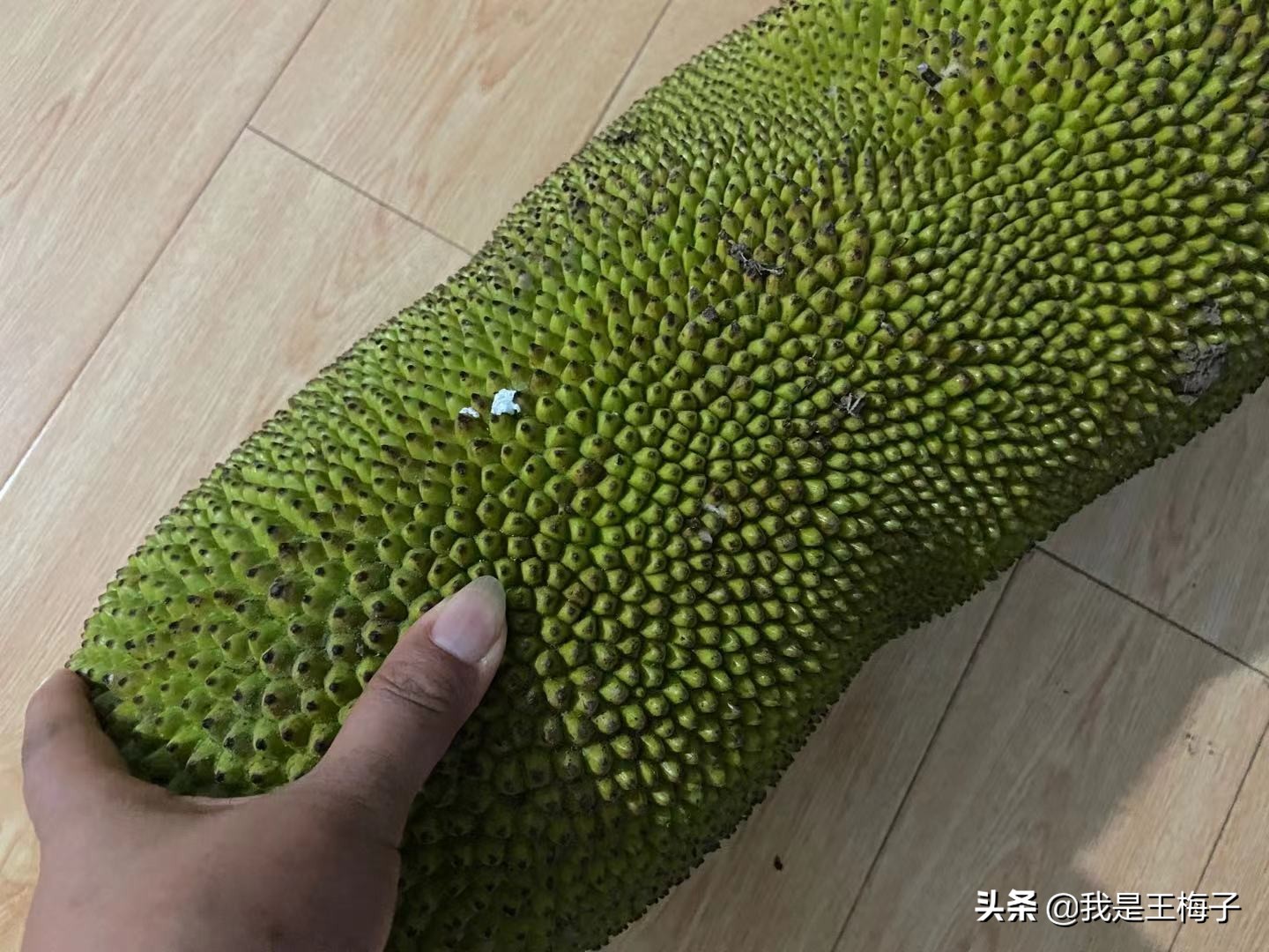 北方人有没有见过菠萝蜜,菠萝蜜北方人不喜欢吃吗