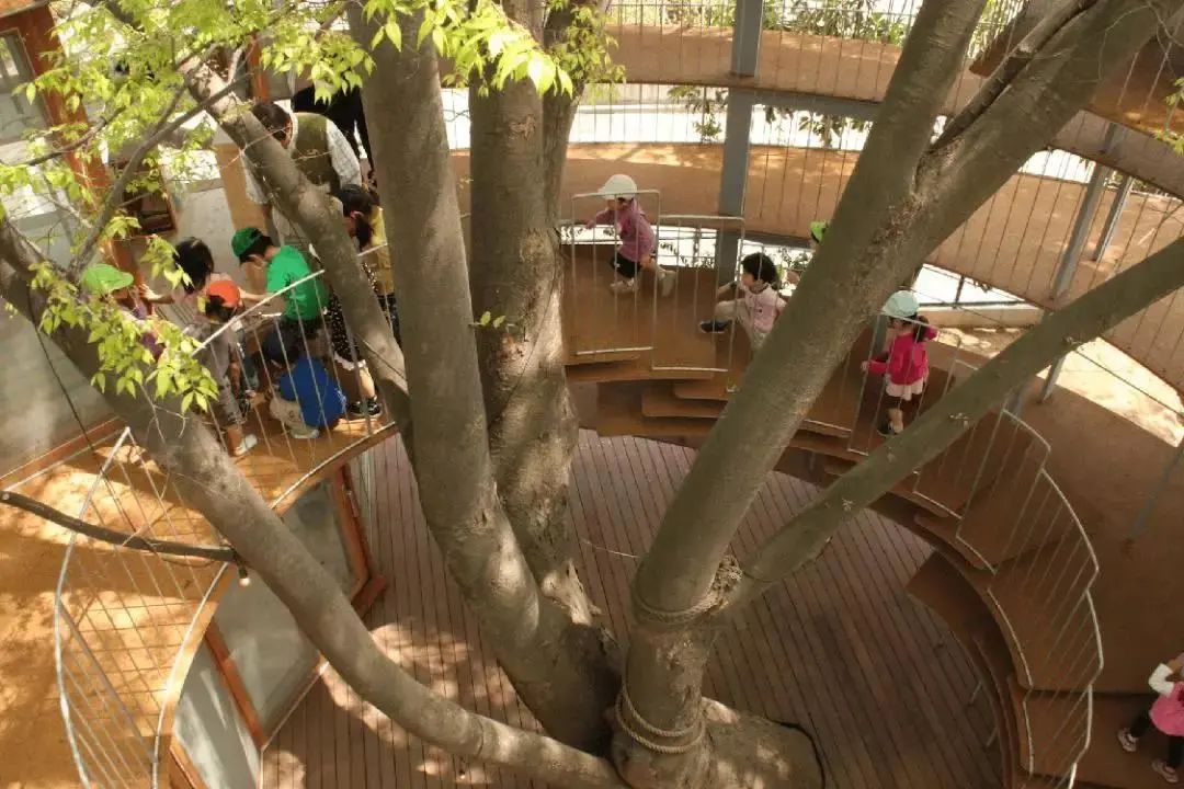 日本最棒的幼儿园,日本最顶尖的幼儿园