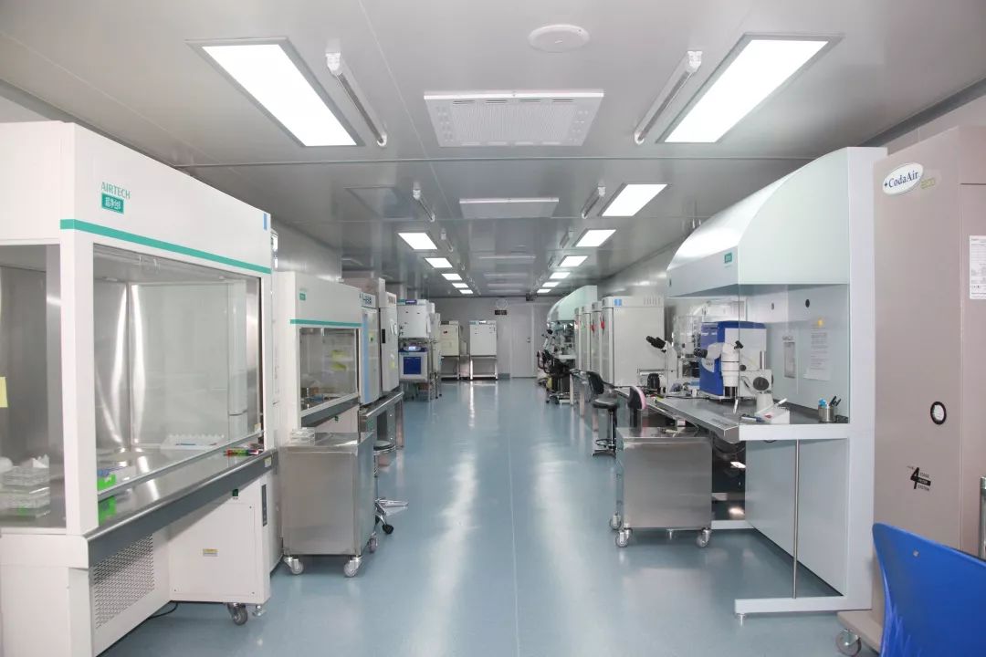 “宝贝,妈妈历经艰辛只为遇见你!”揭秘试管婴儿培育全过程