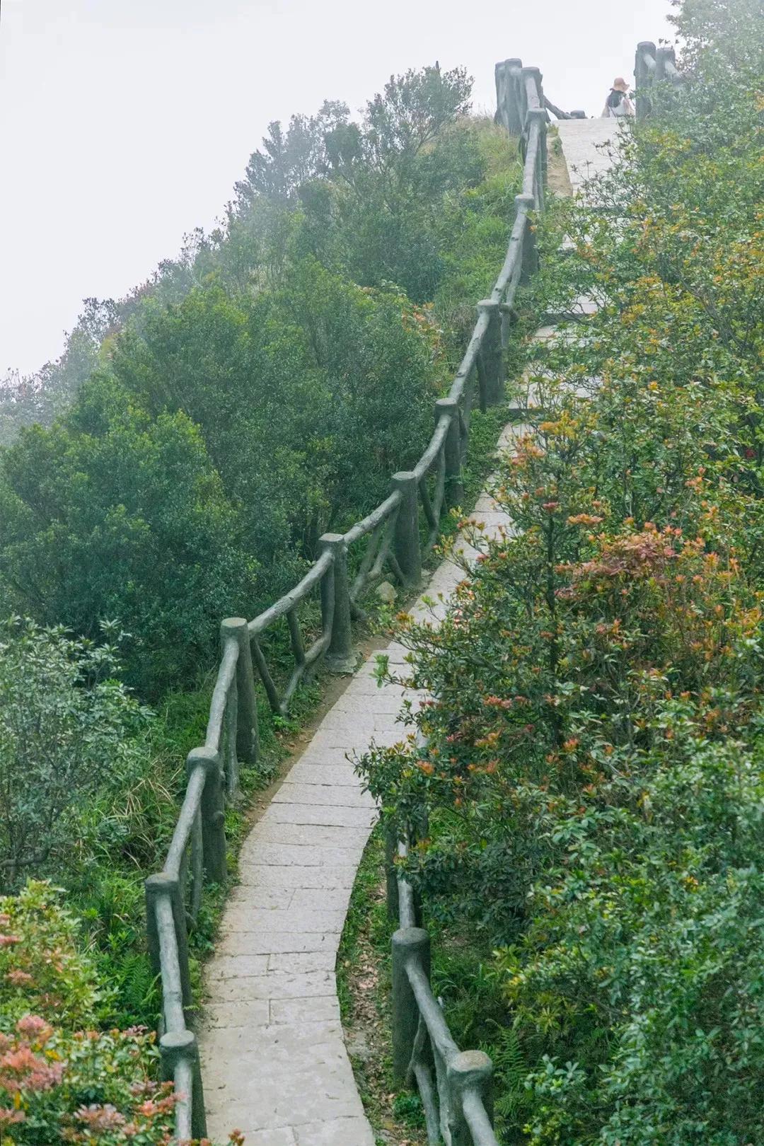 深圳值得去的地标,深圳值得去的景点排行榜