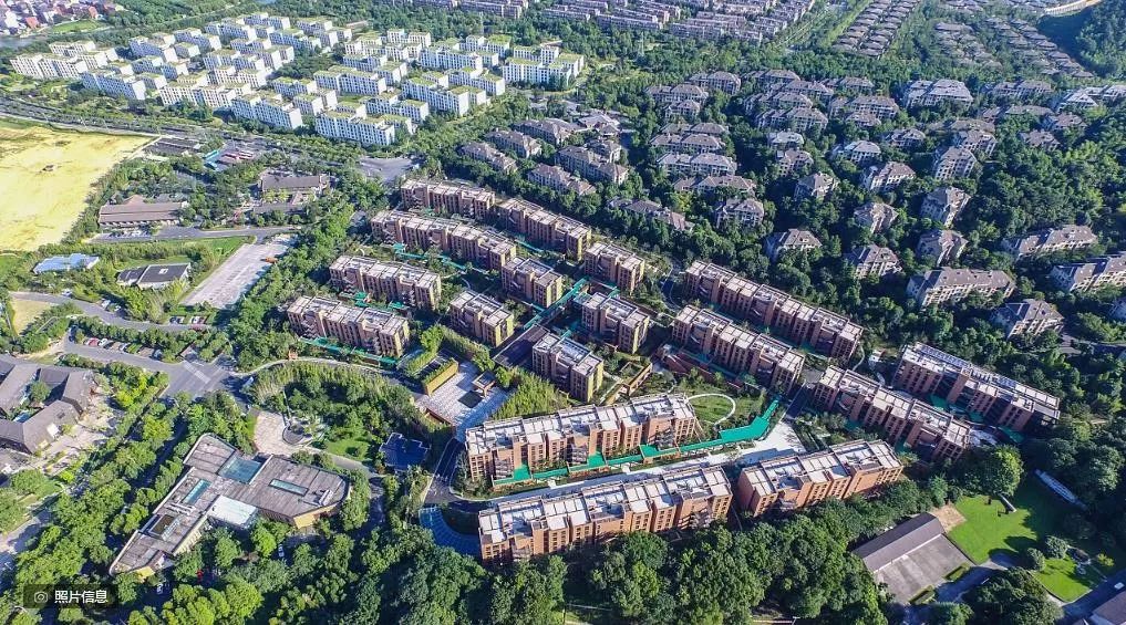 杭州良渚随园嘉树养老院,杭州良渚万科随园嘉树养老公寓