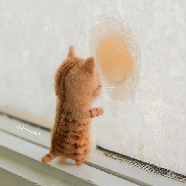 用羊毛毡做了很多小猫跟真的一样,用猫做羊毛毡