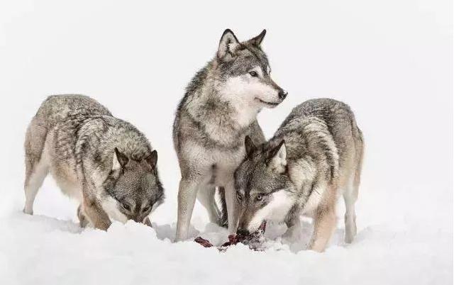 做生意赚钱的商业模式,创业做生意十大底层逻辑