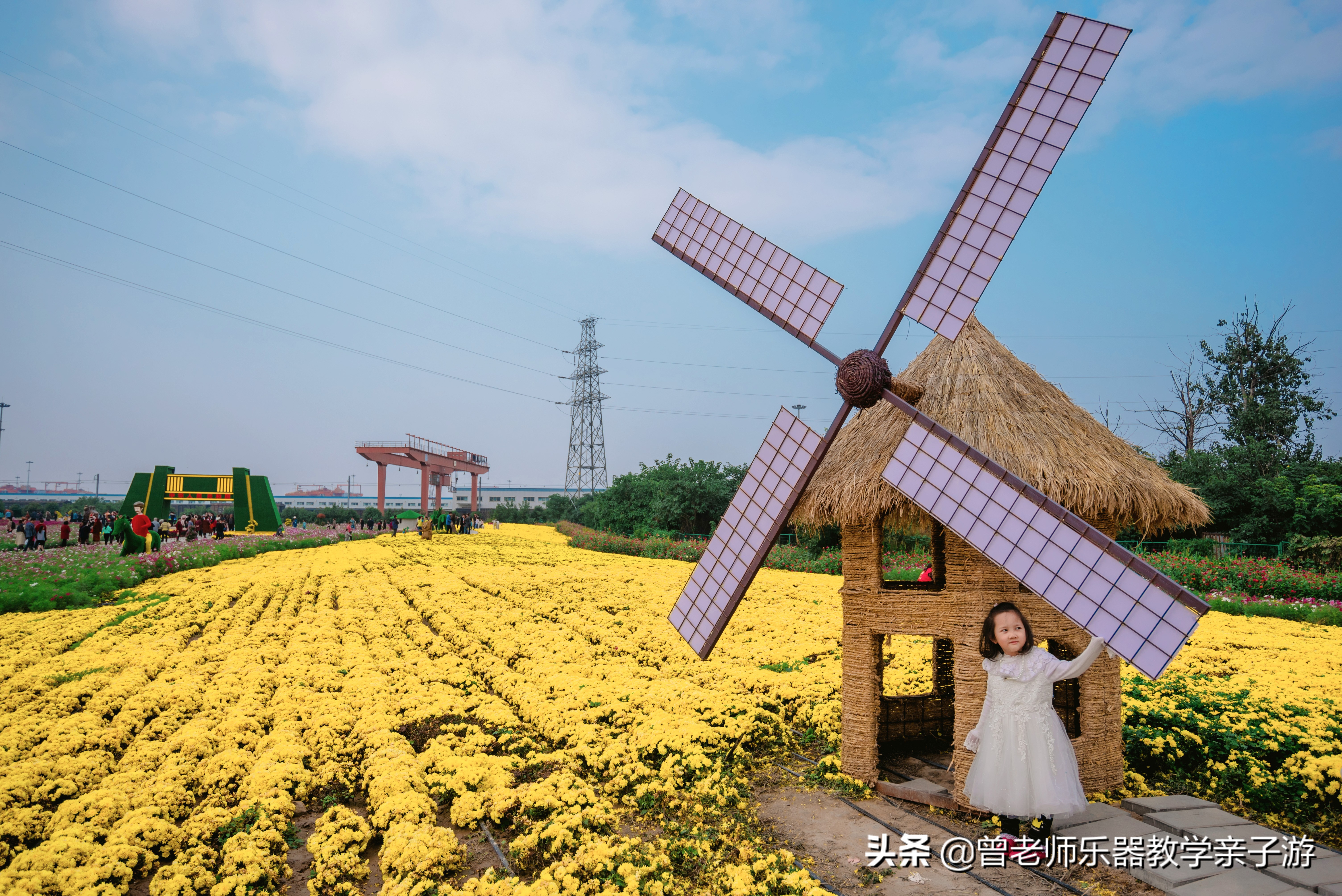 爱菊研学游,爱菊丝路文化菊花园西安