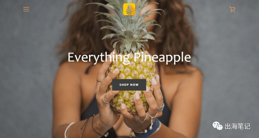 8周流水6700美元Dropshipping运营全流程曝光丨出海笔记