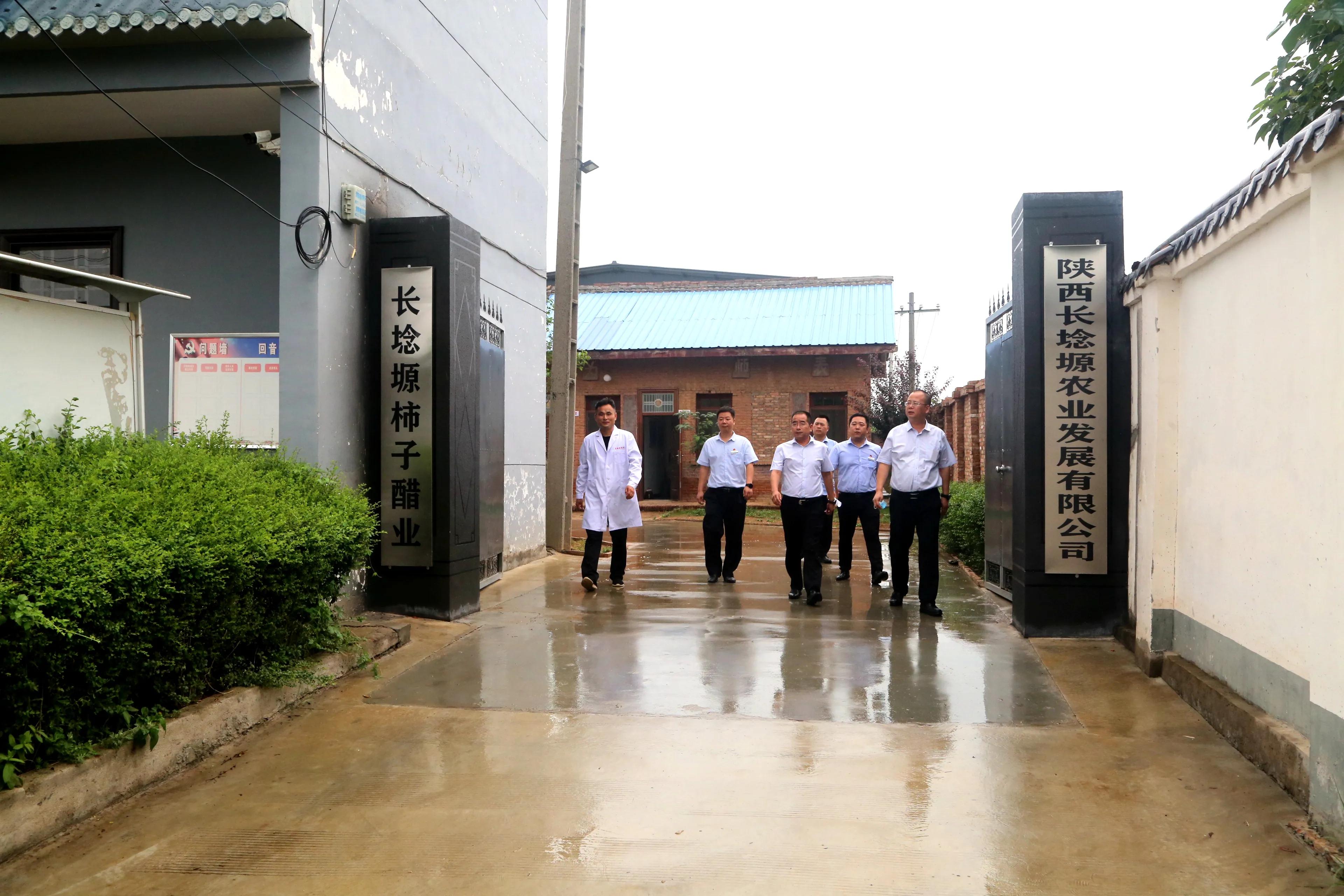 渭南市临渭区：长寿原上一滴醋（组图）