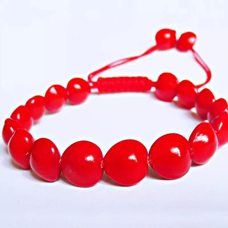 红豆是什么果实,红豆学名相思子