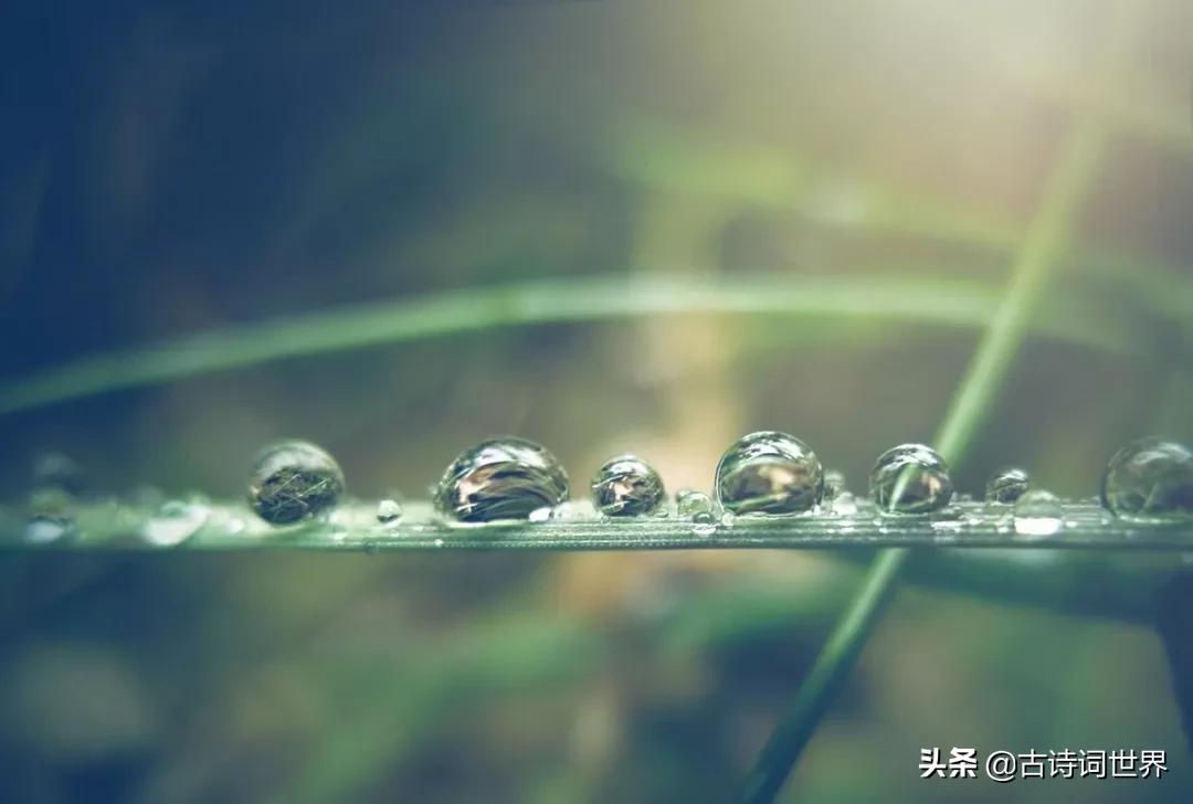 18句令人惊艳诗词,那些被误解的诗词你还知道多少