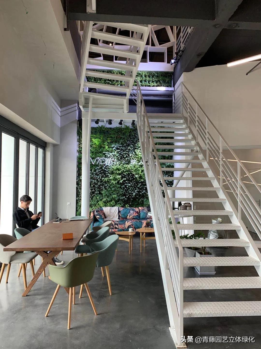 植物墙软装装饰设计,软装墙和植物墙怎么融合