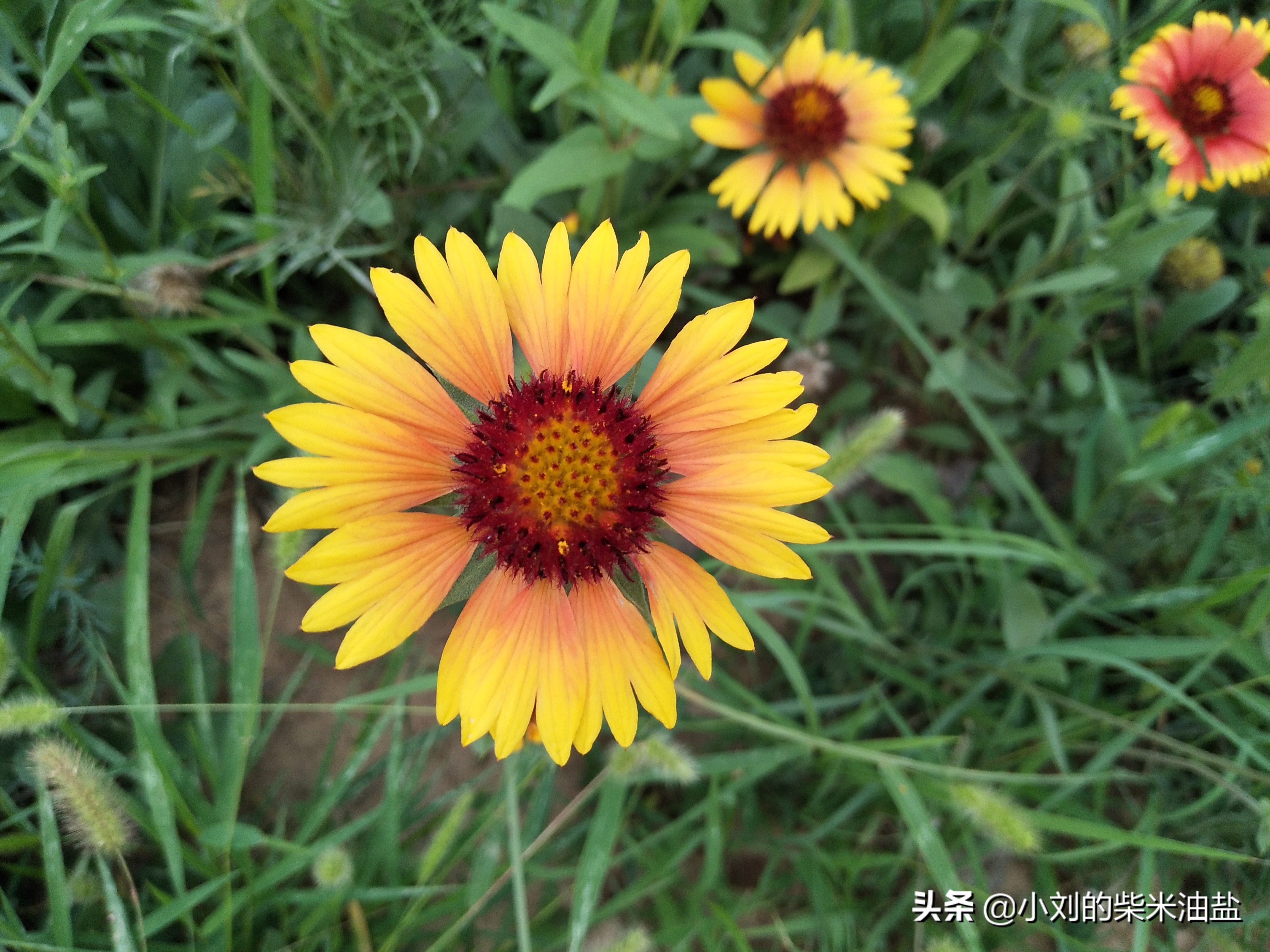 乡村教师做点什么兼职,适合农村教师的副业