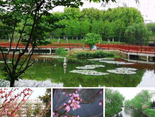 苏州工业园区职业技术学院宣传片,苏州工业园区工业技术学校摄影