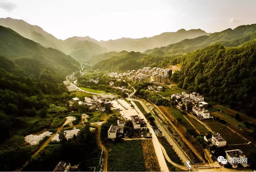 洛阳牡丹花会邀请,洛阳邀请全世界人民看牡丹