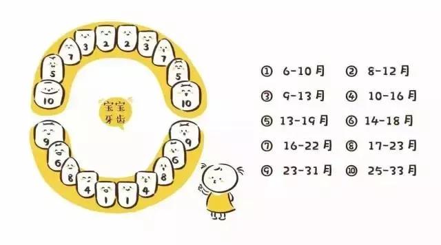 换牙后新牙锯齿状怎么回事,小孩换牙后长出来的牙是锯齿状的