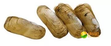 舟山海鲜代加工攻略,最全舟山海鲜攻略