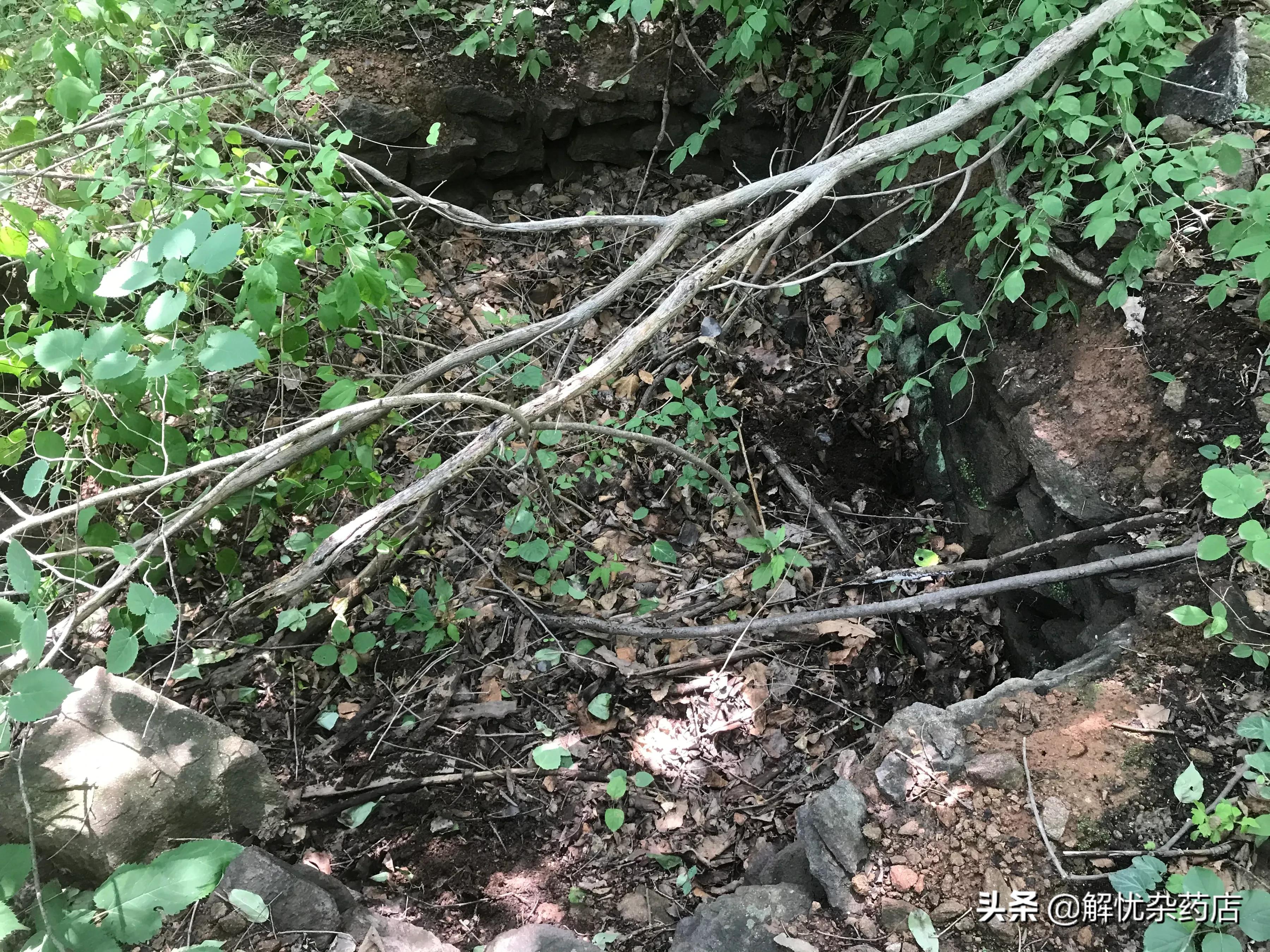 秦皇岛板厂峪长城公园,秦皇岛板厂峪长城