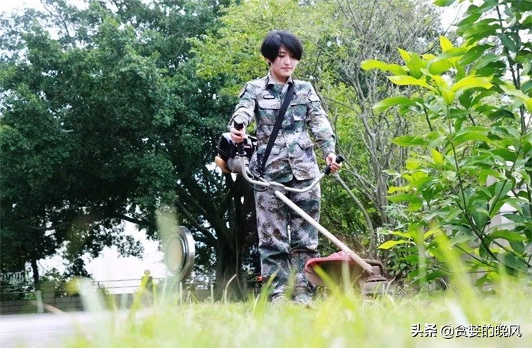 为什么草坪能频繁的修剪,老园丁养花从来不怕虫害