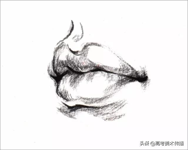 速写五官技法,速写五官的画法精讲