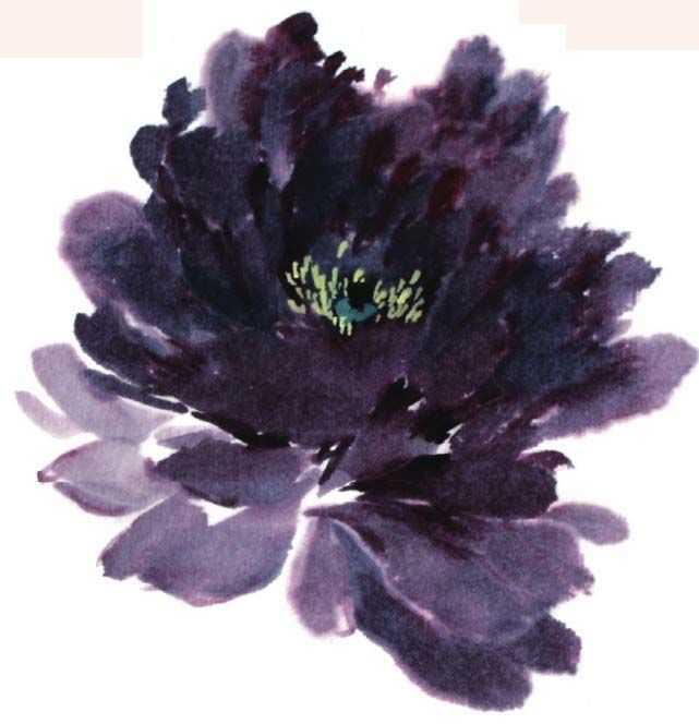 国画牡丹和石头的画法图片,初学国画牡丹花头画法图解