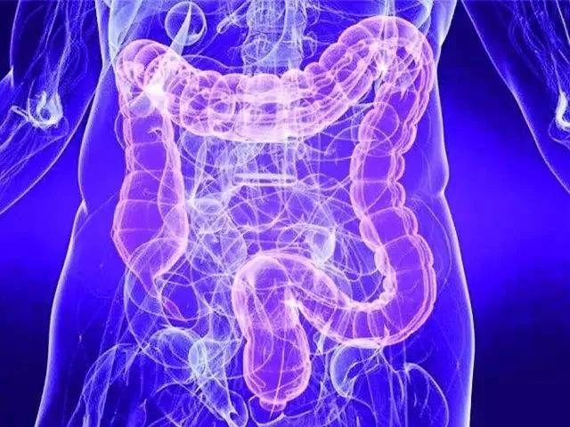 肠道是危重症患者发生多器官功能障碍的发动机