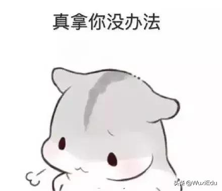 小学学生证丢失如何办理,小学报名户口本丢了怎么办