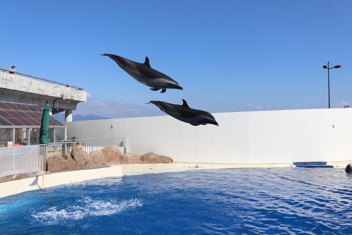 日本九州特急火车,日本九州观光火车攻略