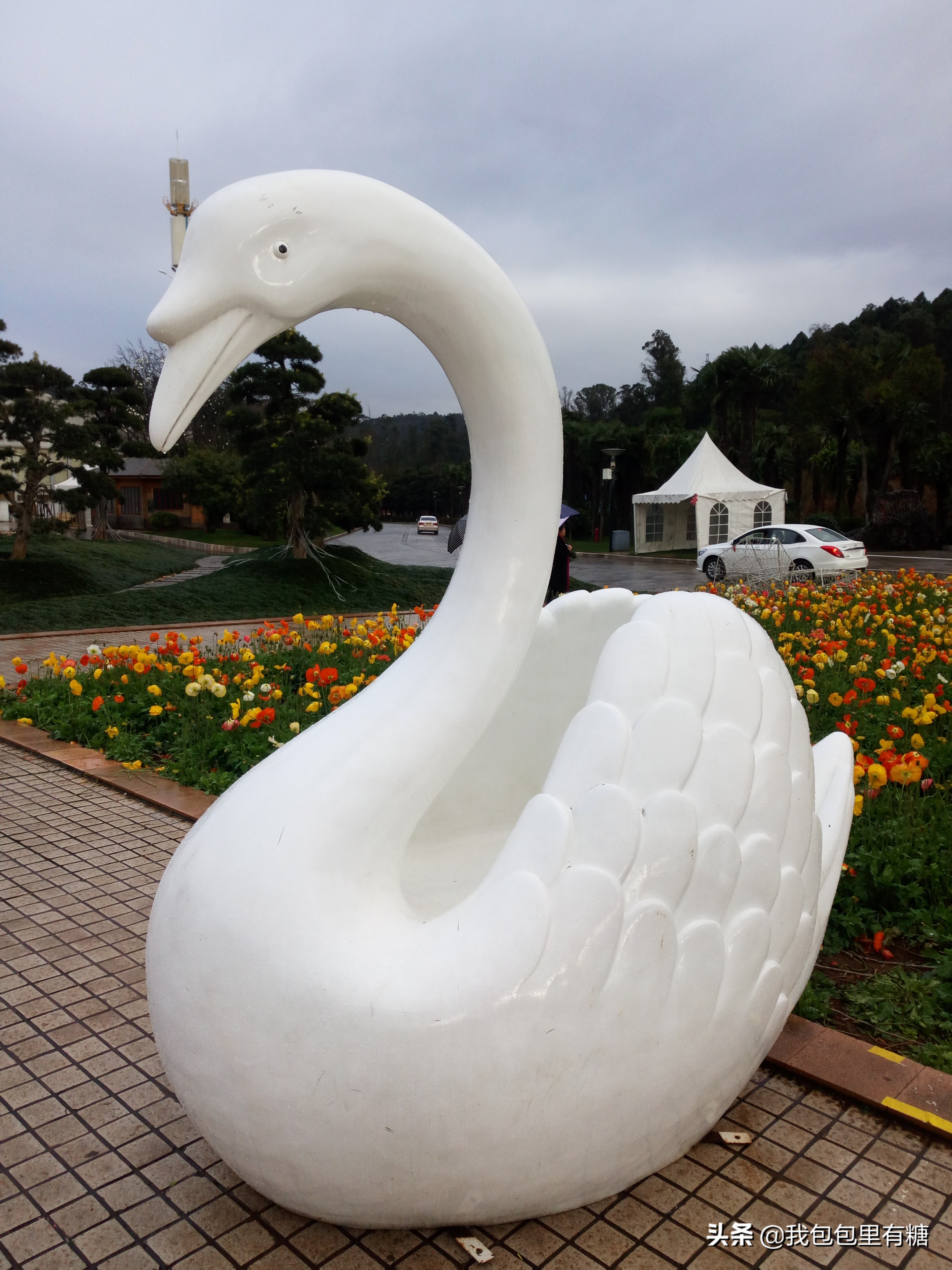 昆明人眼中的世博园,23年前开园的昆明世博园依然美丽