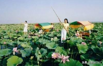 在孝感混，你竟然不知道这些统统不要钱？太穷就看看这个