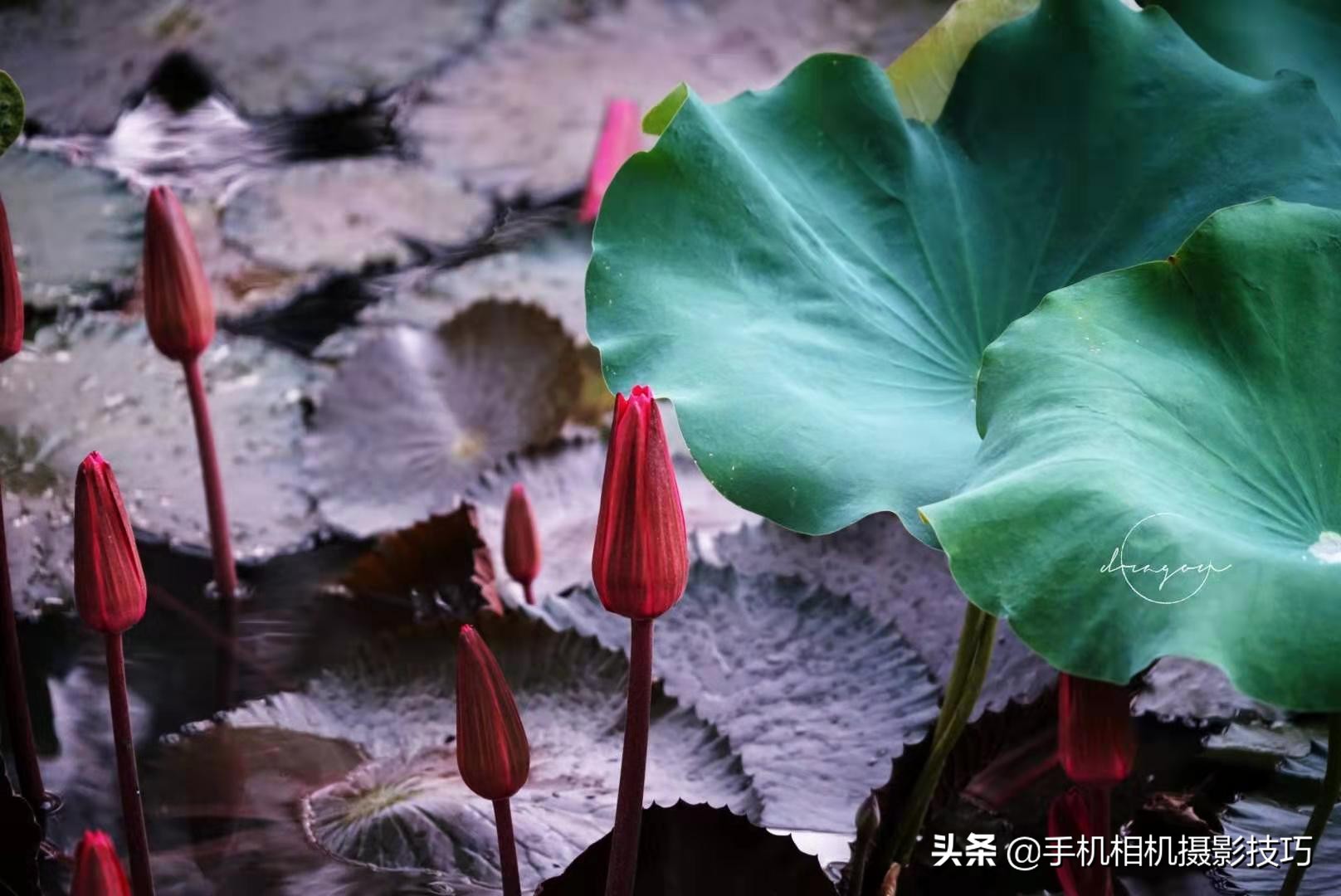 你拍的照片为什么不满意，这些小细节，注意到了吗？